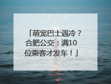 萌宠巴士遇冷？合肥公交：满10位乘客才发车！
